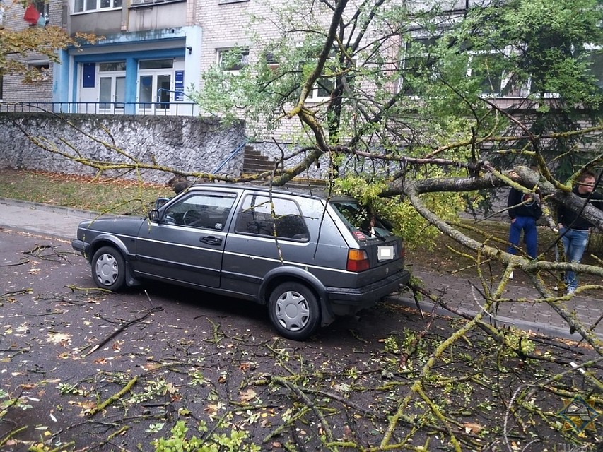 Ветер был такой силы, что деревья падали на машины. Фото: МЧС