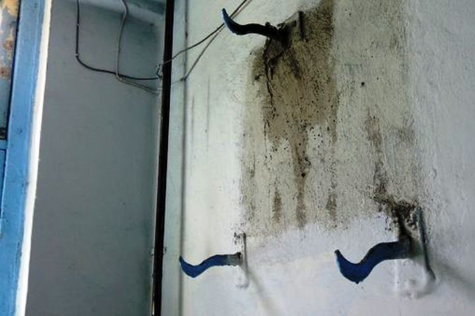 Фото: nagg.in.ua
