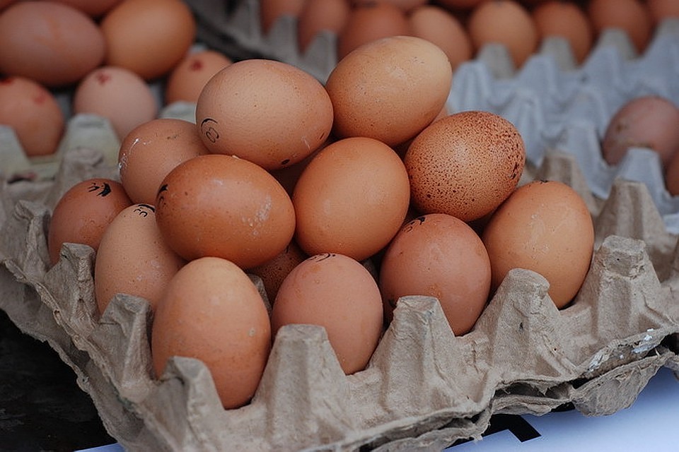 Продукты перевозили из Казахстана с нарушением требований технического регламента Таможенного союза