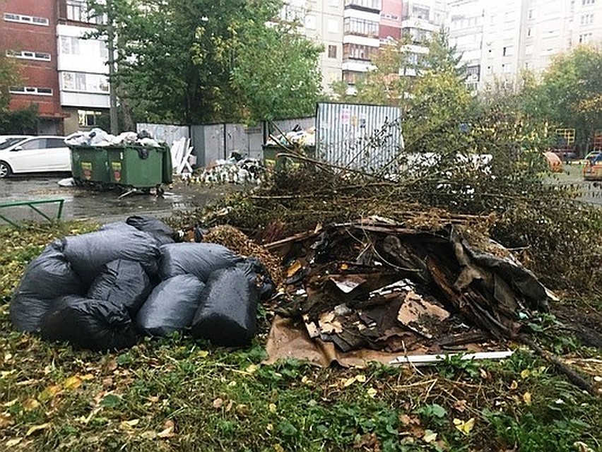 Этот снимок сделан на контейнерной площадке во дворе дома №101а по ул. братьев Кашириных вечером 30 сентября. В соседних дворах - такие же помойки.