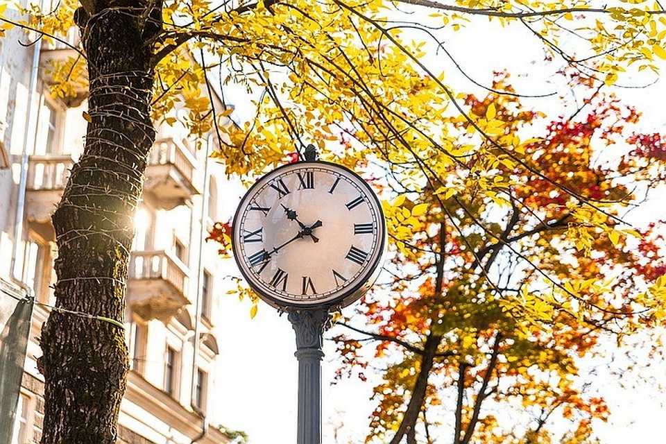 Первый день октября в Петербурге будет пасмурным и немного дождливым.