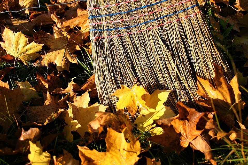 ФОТО: pixabay.com