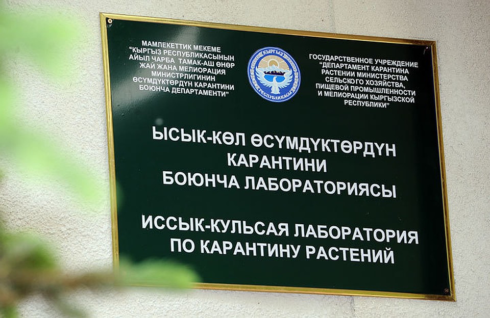 Независимая экспертиза выявила завышение строительных работ при ремонте лаборатории.