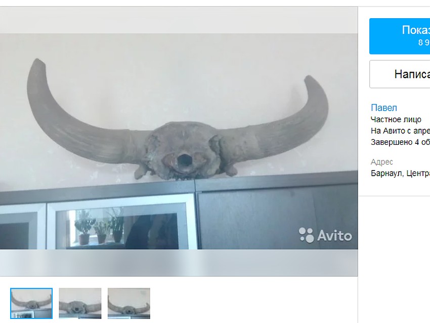 Скриншот Avito.ru