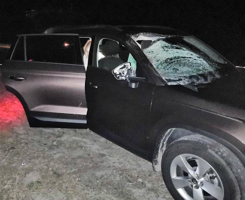 Фото: УГИБДД по Брянской области