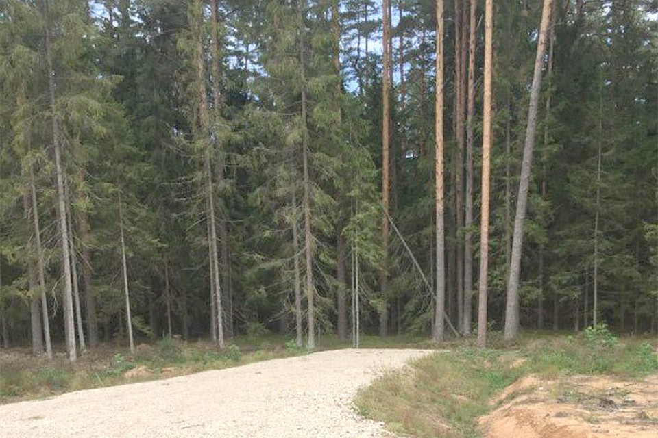 В Латвии новые дороги строятся в лесах, правда, без начала и конца. Фото: с сайта nasha.lv