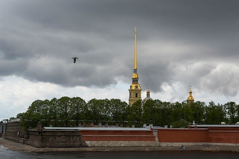 В пятницу утром Петербург неожиданно накрыл моросящий дождь.