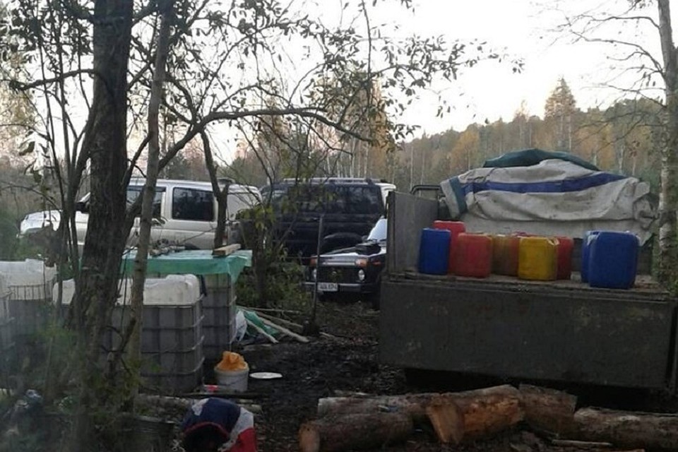 Чтобы поймать нарушителей установили фотоловушки. Фото: УВД Гродненского облисполкома.