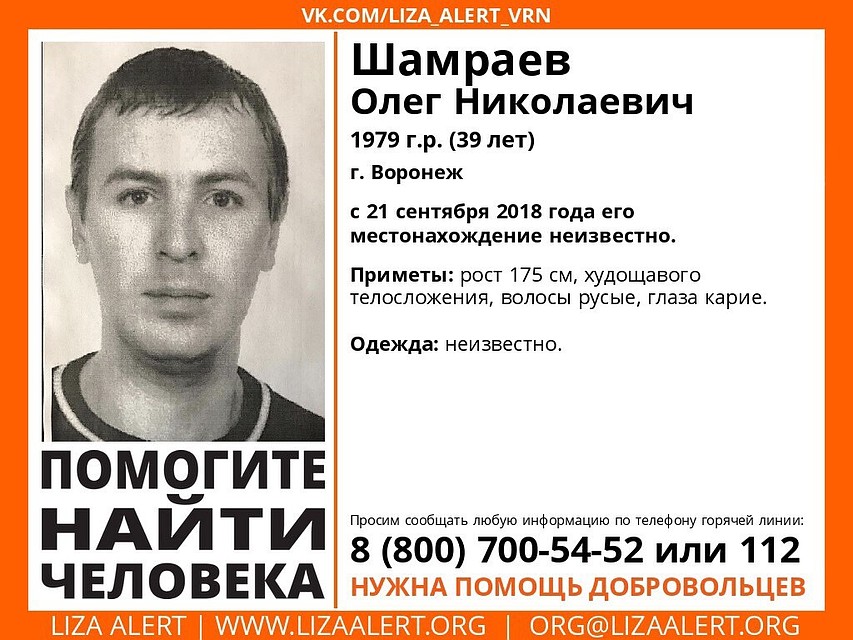Фото: из группы поискового отряда «Лиза Алерт».