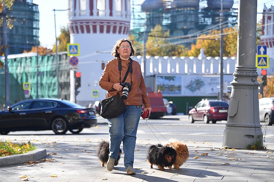 Россиянам видится, что карьеру следует выстраивать в столице страны.