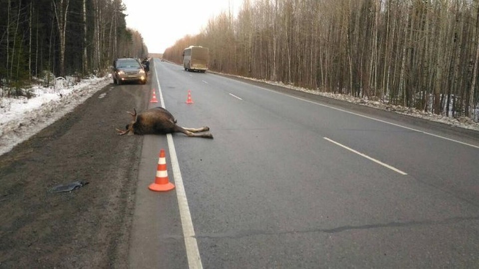 Фото с соцсети ВКонтакте
