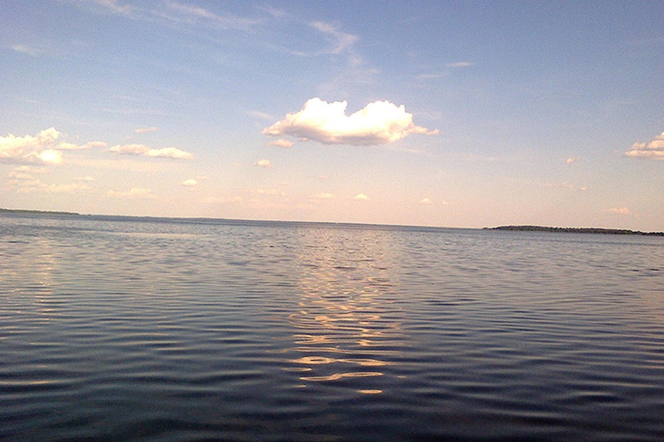 Женщина нашла череп, когда гуляла по берегу озера.