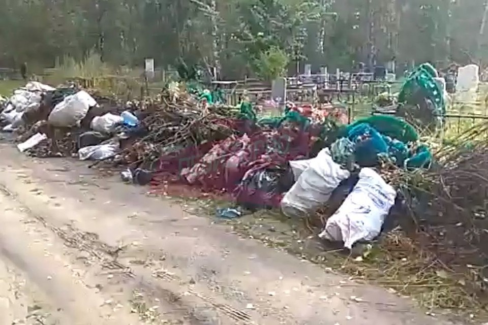 Могилы на кладбище под Новосибирском не видно из-за накиданного на них мусора. Стоп-кадр с видео revizorro_nsk54.