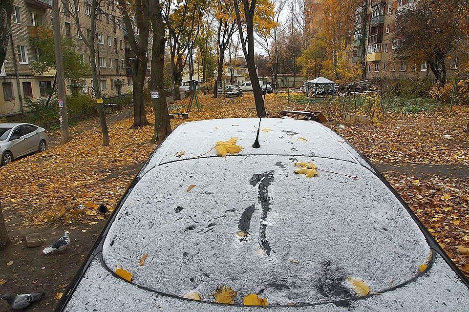 Фото: Алексей ФОКИН