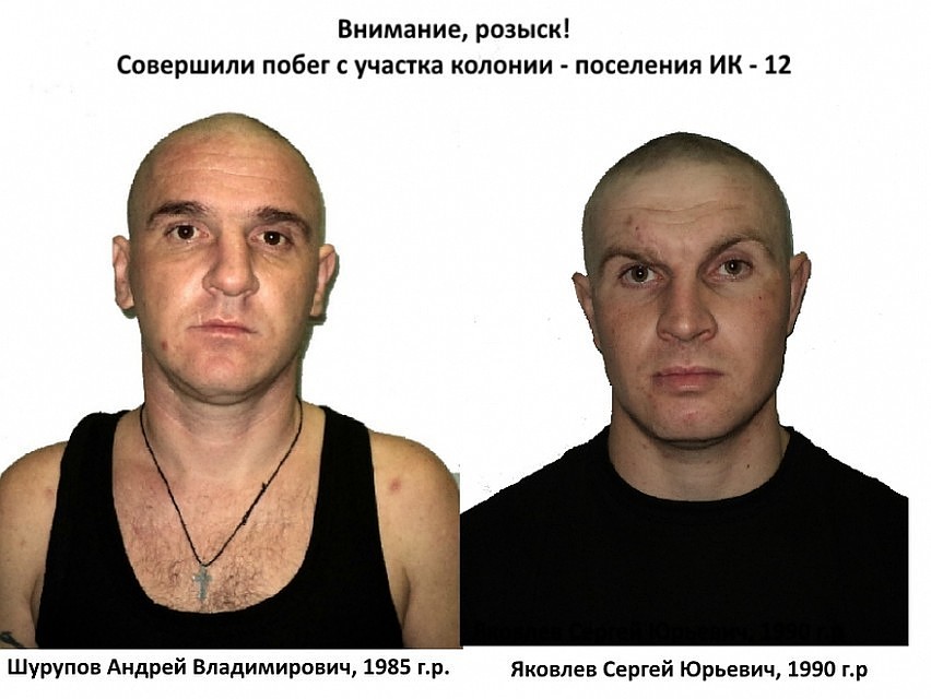 Зэков нашли недалеко от ростовской трассы.