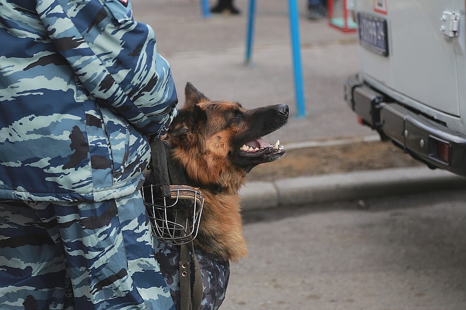Парня отпустили