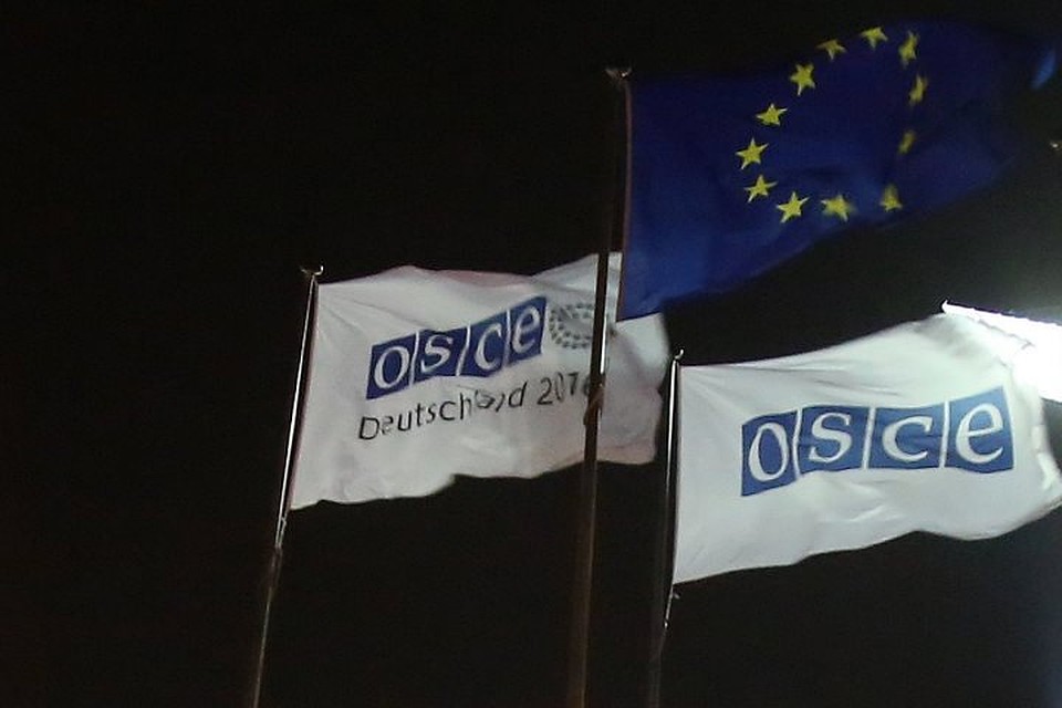 ОБСЕ вновь призвала власти Украины освободить Вышинского