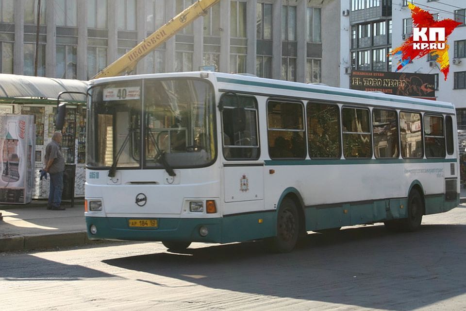 Стало известно, как будет ходить общественный транспорт 4 ноября