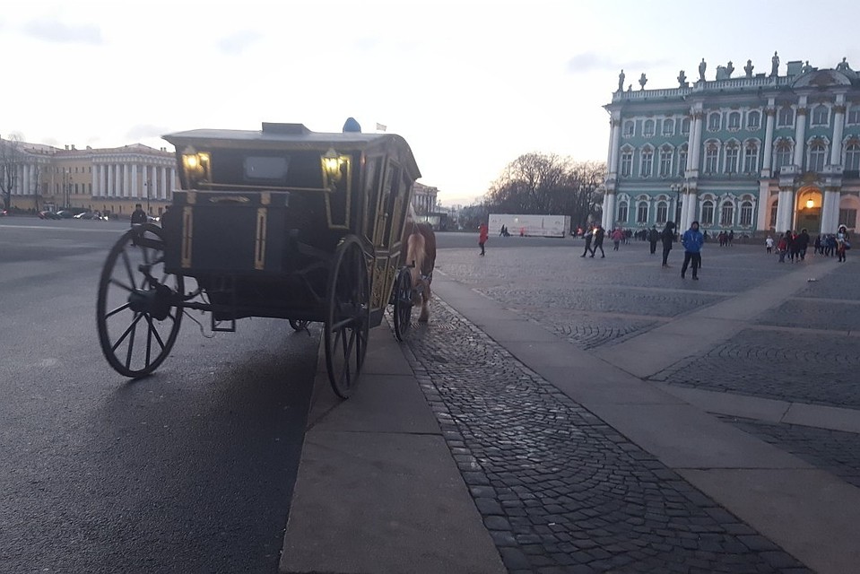 В ДТП на Дворцовой площади столкнулись карета и велосипедист. Фото: группа ВКонтакте "ДТП и ЧП | Санкт-Петербург"