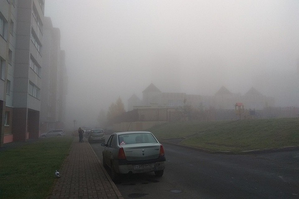 Начало рабочей недели в Петербурге будет дождливым и туманным.