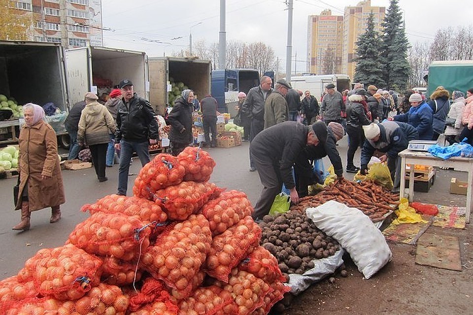 Фото: пресс-служба Брянской городской администрации