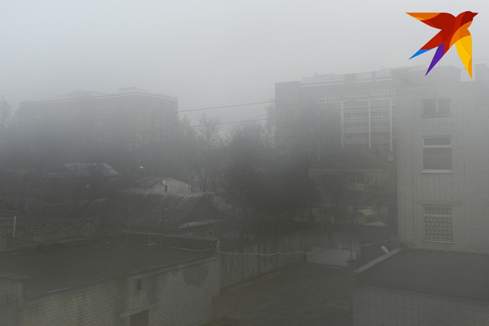 Туман возможен в регионе с 7 по 10 ноября.