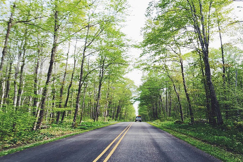 ФОТО: pixabay.com