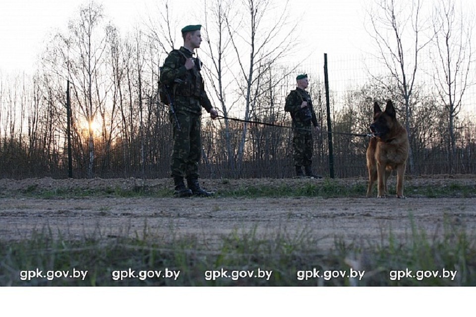 Нарушителям госграницы грозит штраф и депортация. Фото: Государственный пограничный комитет.