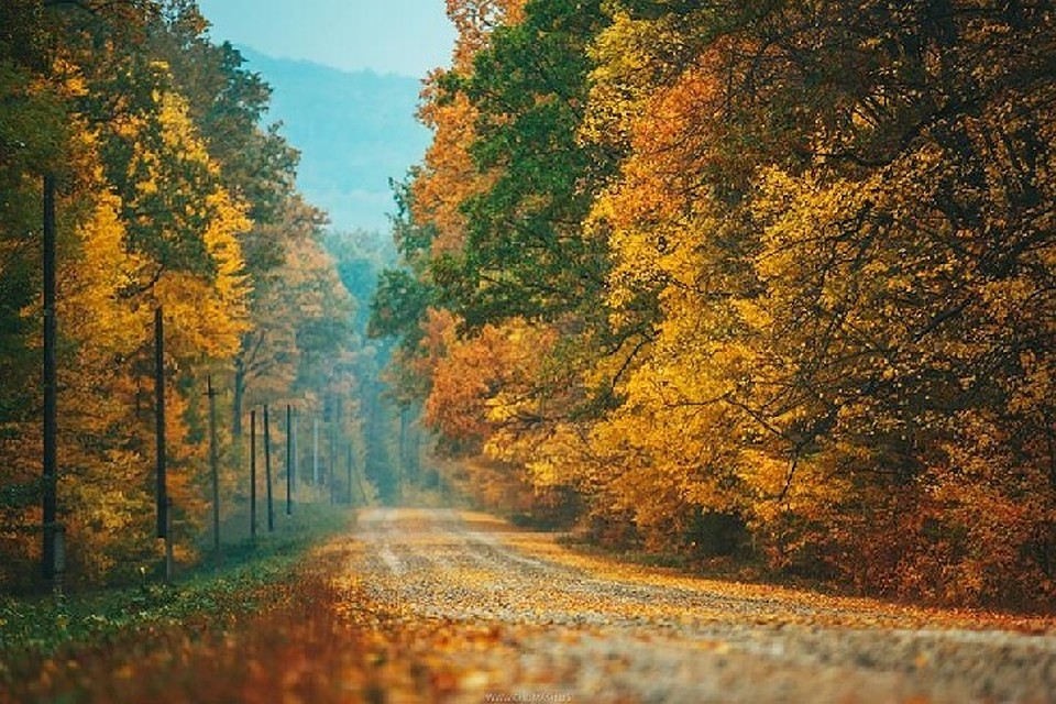 Фото: Максим Чумаш