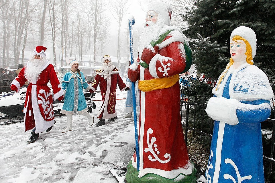 Кто не знает: 2019 год - год Свиньи!