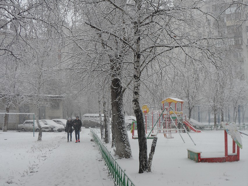 Погода 29 ноября в Тюмени: снегопад и ветер