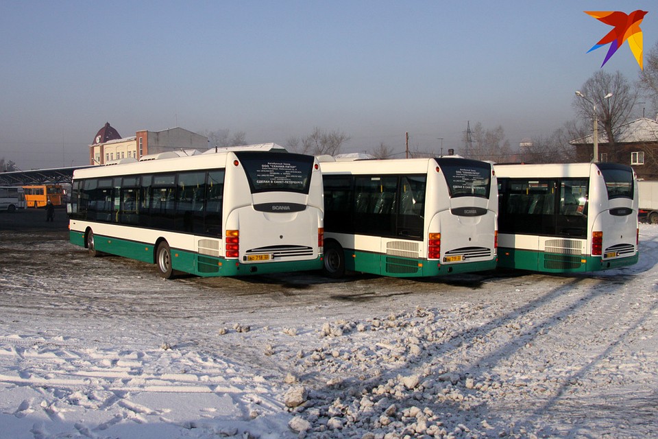Автобусы