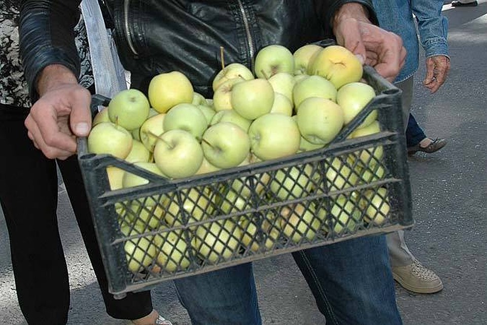 Волгоградская область по количеству выращенной плодовой продукции занимает второе место в России.