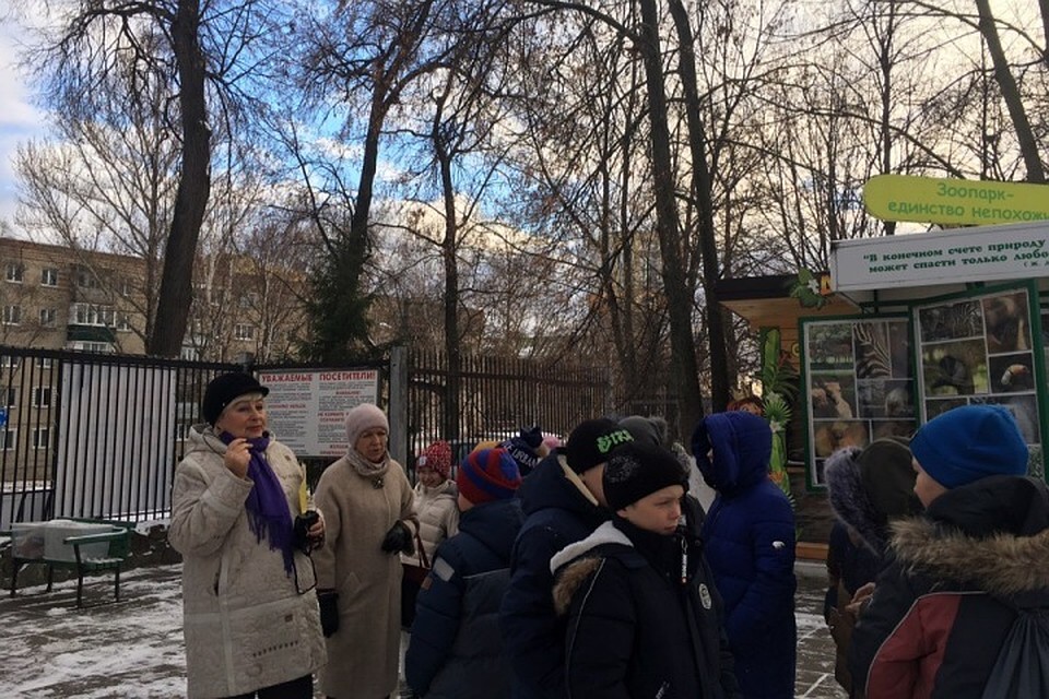 Дети остались в восторге.