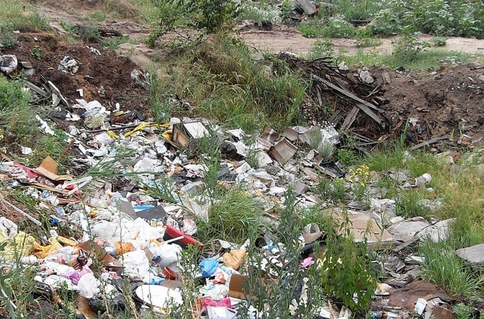В регионе насчитали 25 крупных свалок, примыкающих к населенным пунктам.