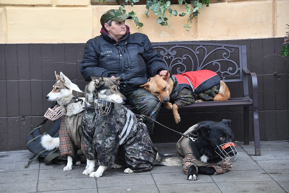 Новый закон может заработать уже в январе