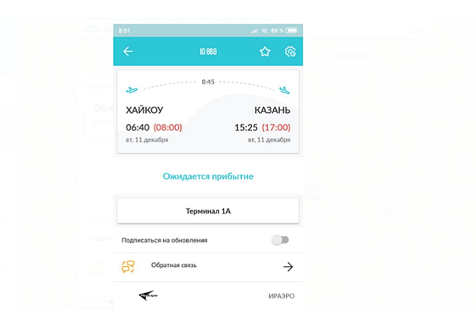 Самолет ожидают в 17.00