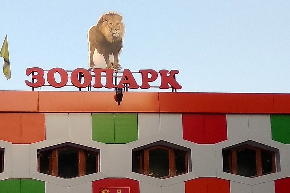 В Липецком зоопарке прошел День обезьян