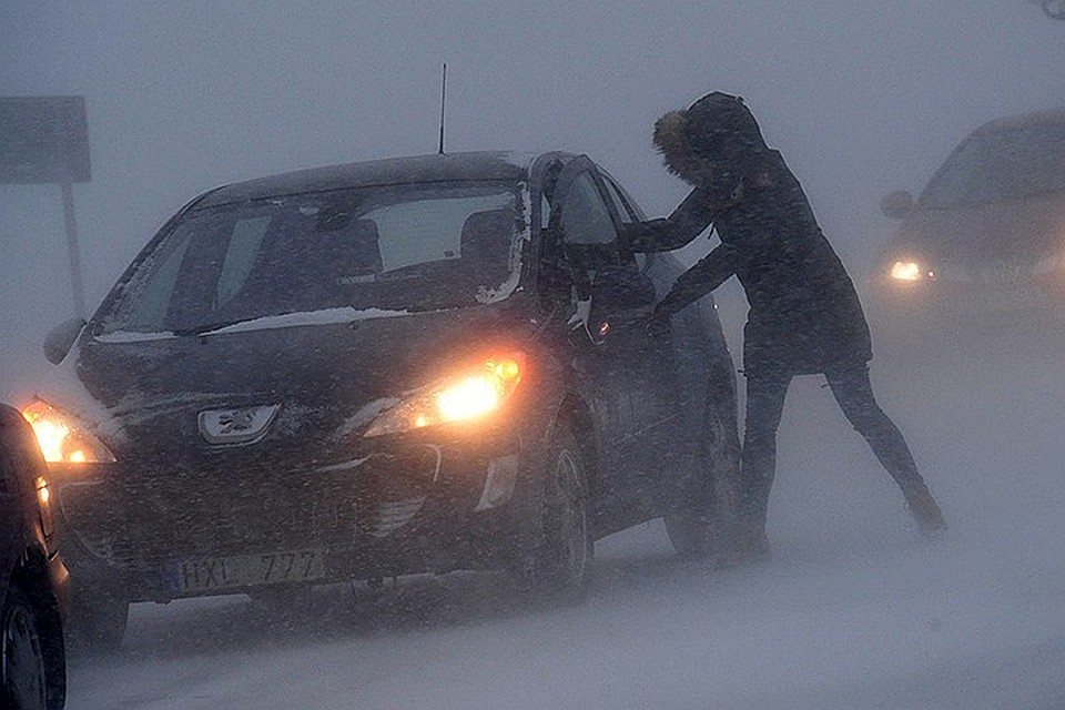Фото: REUTERS
