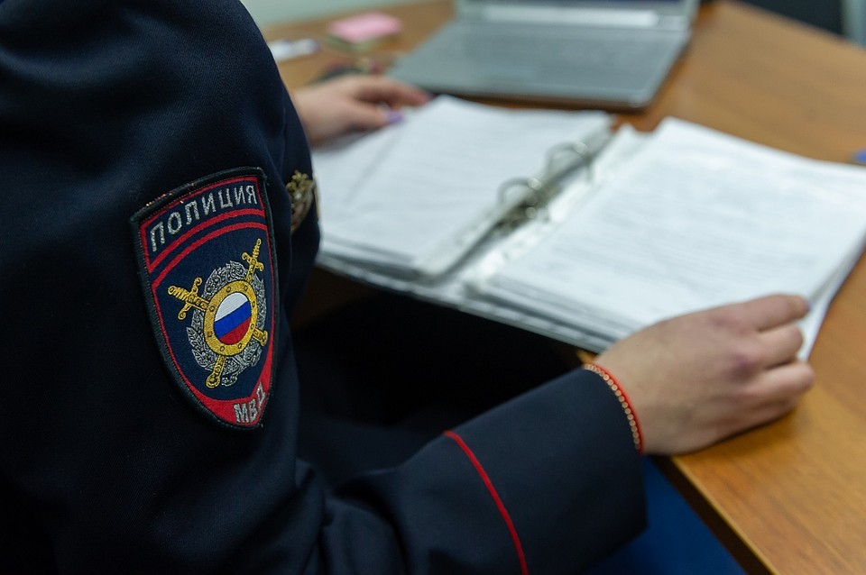 За кражу обвиняемой грозит до 5 лет лишения свободы