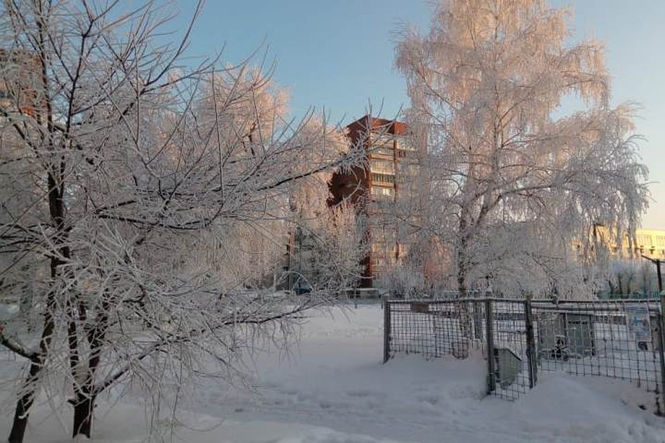 Алтайский край вновь накроют 40-градусные морозы