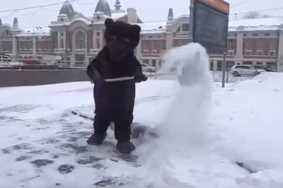 Бурый мишка взялся за лопату и принялся очищать снег в центре города. Стоп-кадр с видео vk.com/my_nsk.