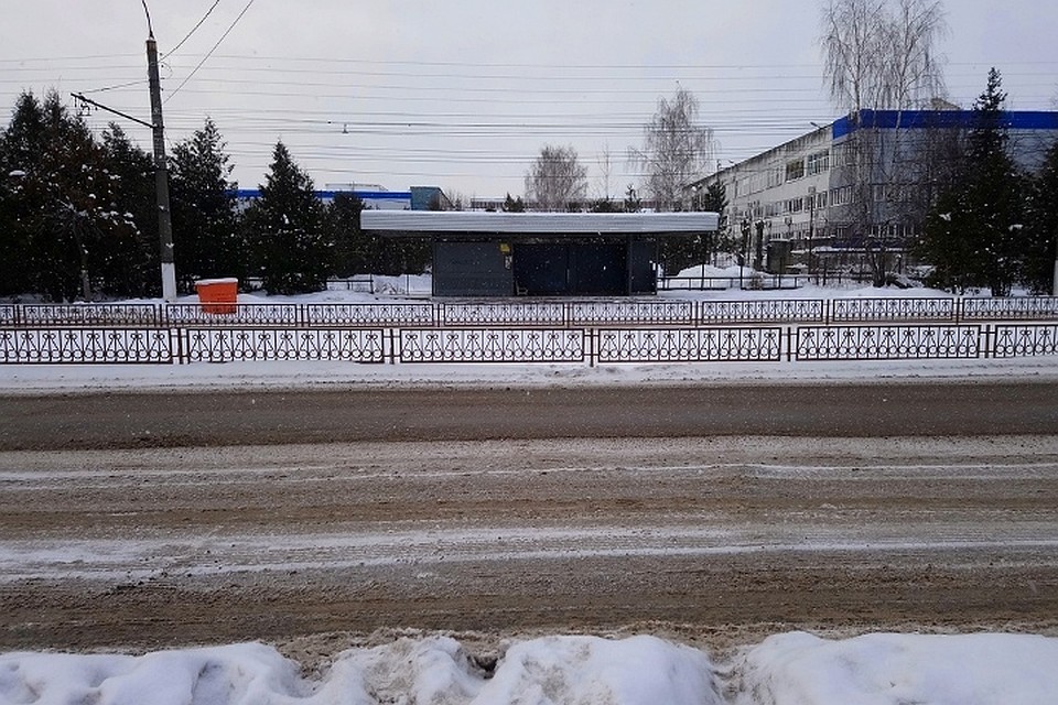 На пути людей неожиданно "вырос" Фото: vk.com (News 69, Павел Аристархов)