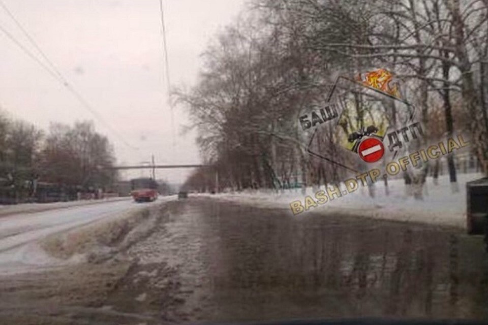 Фото: соцсети