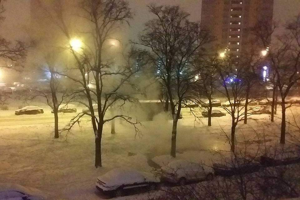 На Белы Куна ночью прорвало трубу с кипятком. Фото: vk.com/spb_today