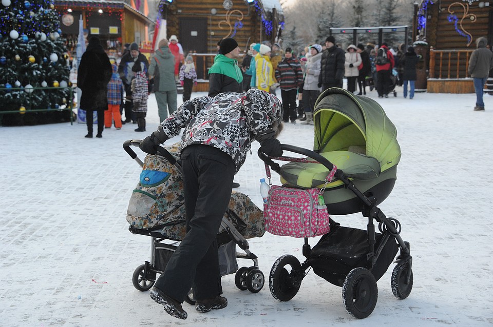 В области стали меньше рожать