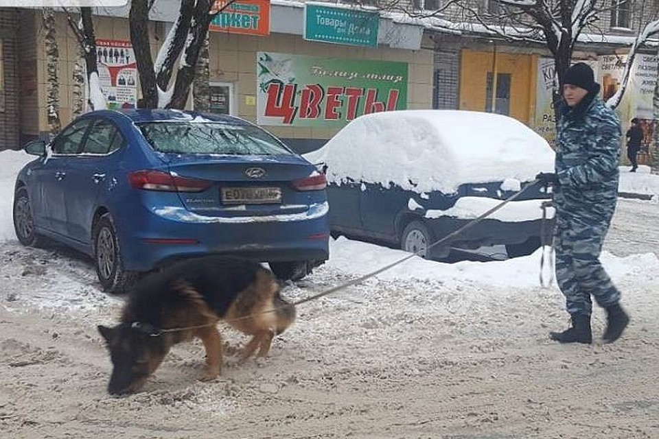 На помощь прибыл служебный пес