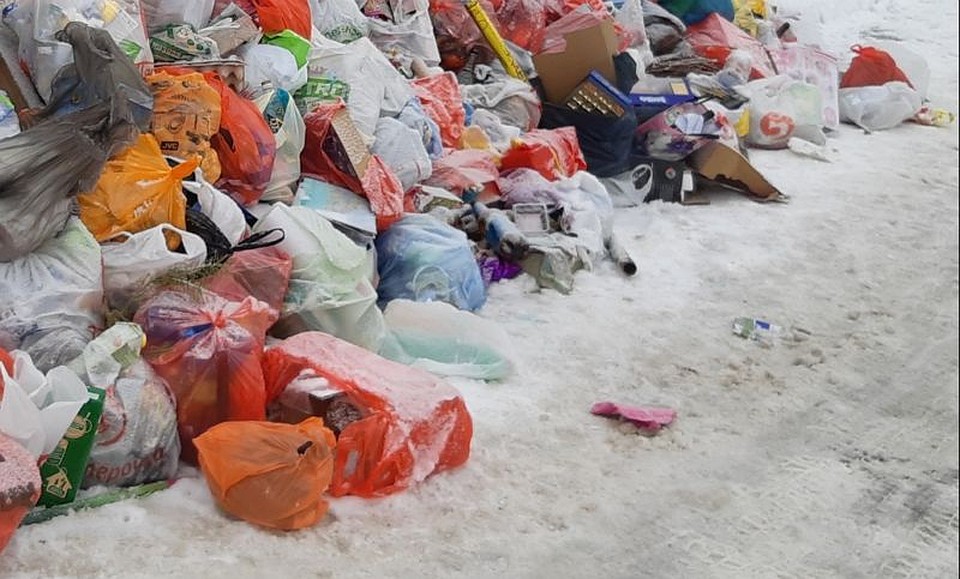 Мусор - главная проблема начала 2019 года в Ростове.
