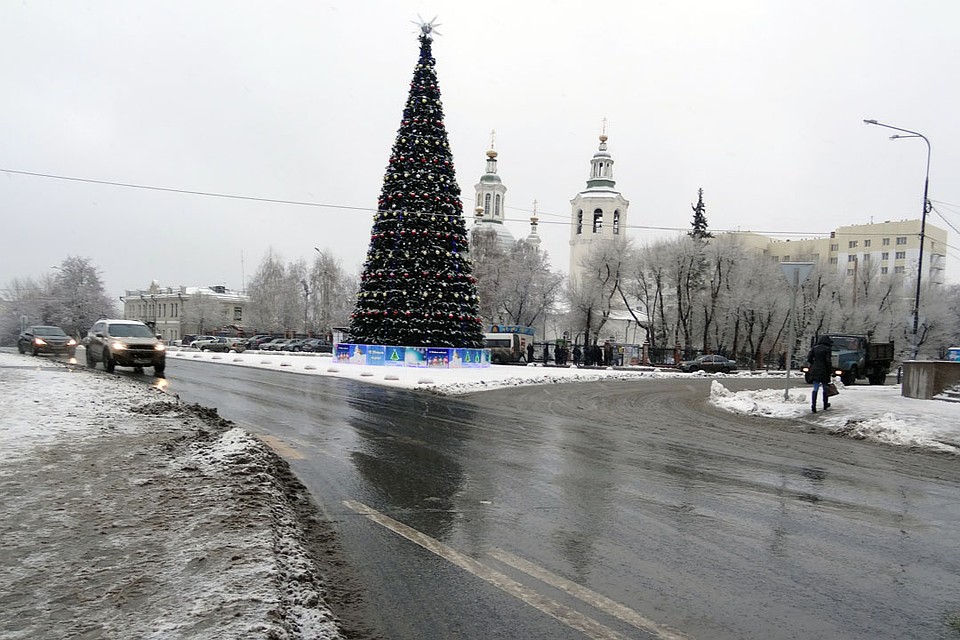 Погода 14 января в Тюмени: ветрено и снежно