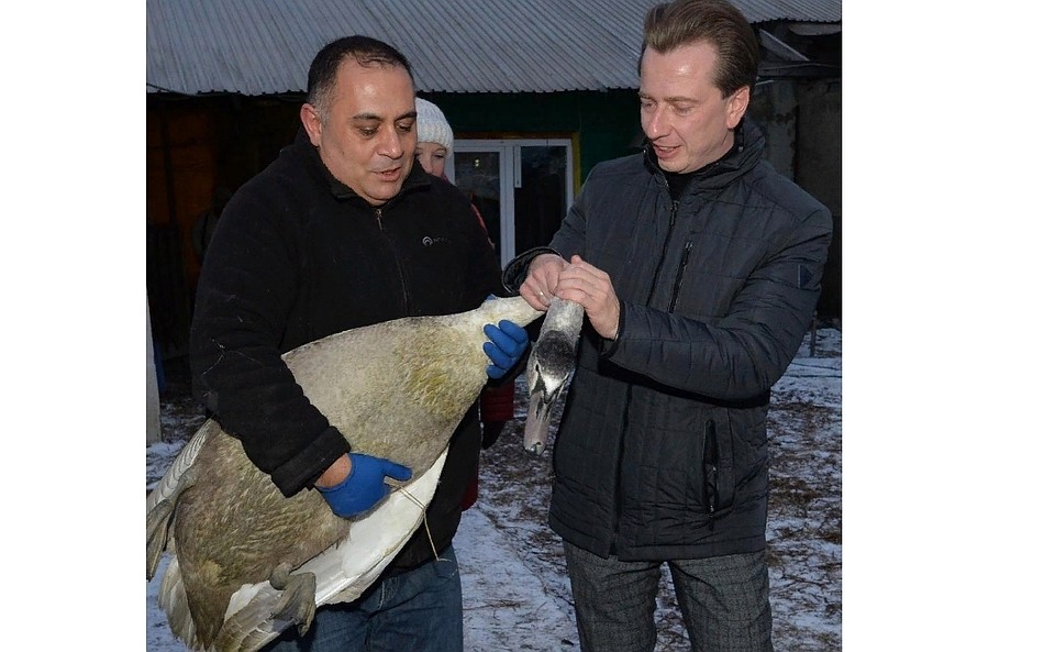 Фото: пресс-служба депутата Госдумы Владимира Бурматова